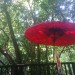 日傘の効果は色によって違う？雨傘兼用の効果とゴルフのスコアへの影響