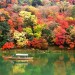 紅葉の京都へ両親と行くなら中心部や名所の嵐山をまわろう！