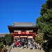 鶴岡八幡宮の初詣デートは混雑を避けて鎌倉観光もしよう！